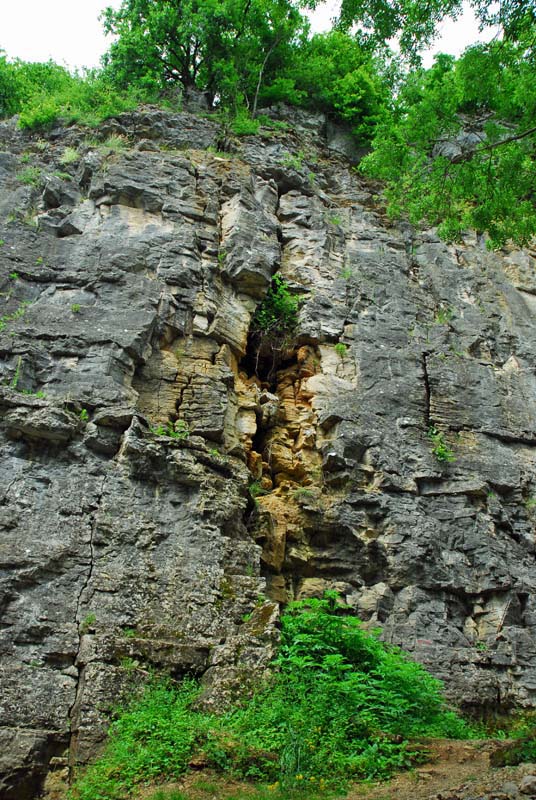 FALAISES DE COHONS, Cohons - photo 4