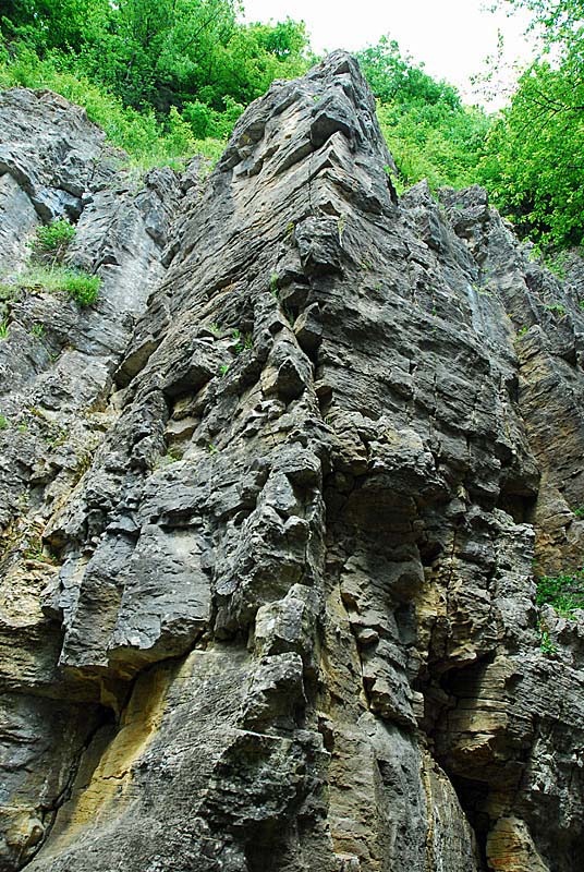 FALAISES DE COHONS, Cohons - photo 13