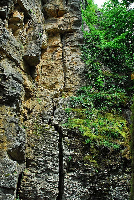FALAISES DE COHONS, Cohons - photo 5