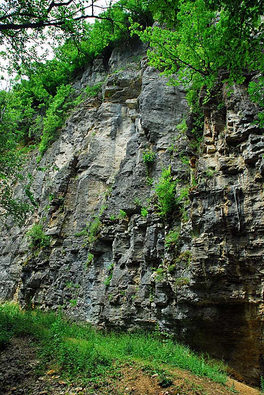 FALAISES DE COHONS, Cohons - photo 6