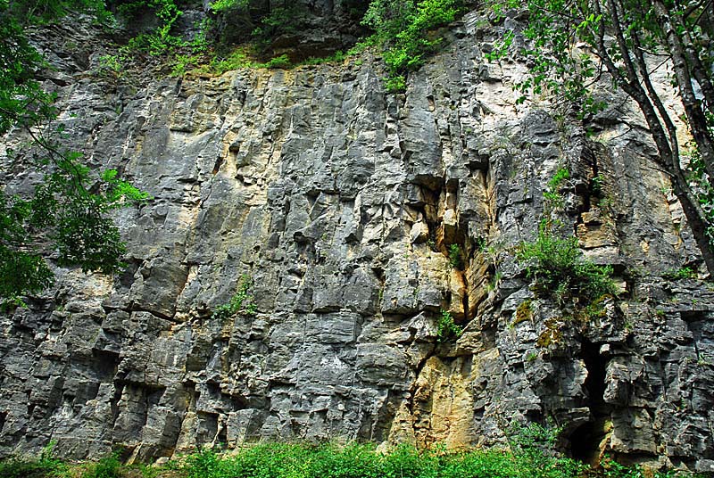 FALAISES DE COHONS, Cohons - photo 2