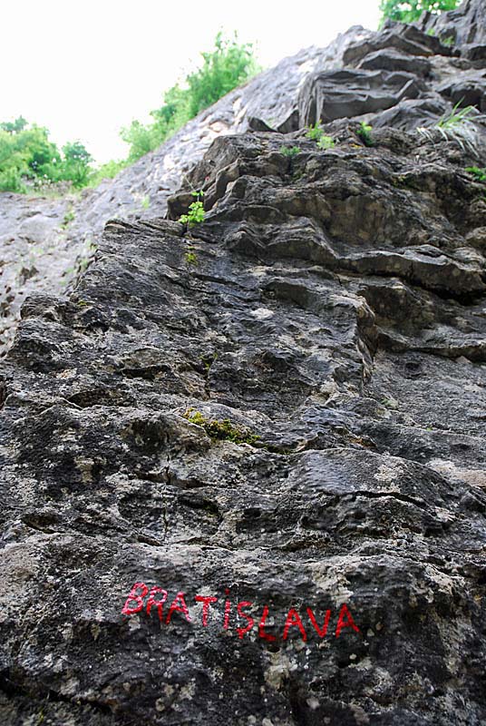 LA VARAPPE LINGONNE, Perrancey-les-Vieux-Moulins - photo 6