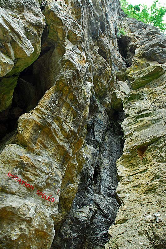 ESCALADE A LA FALAISE DE COHONS