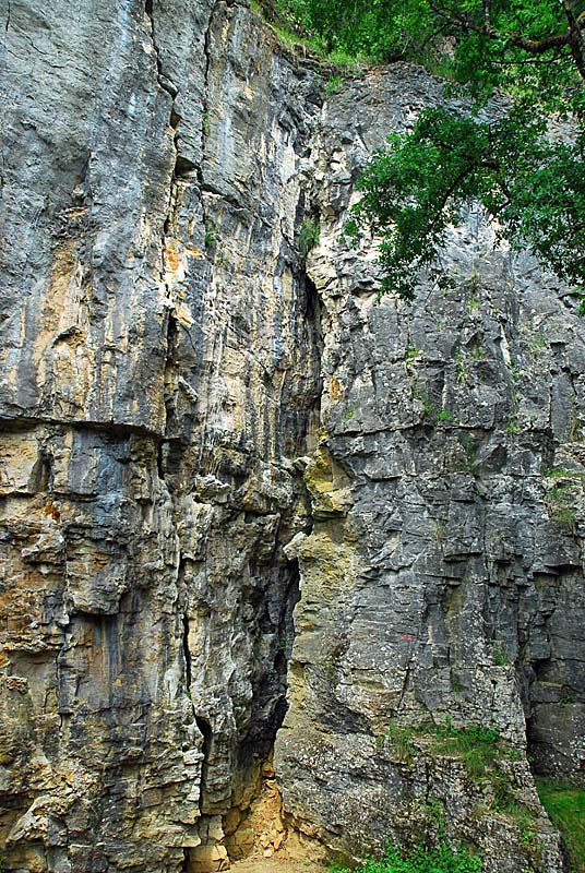 FALAISES DE COHONS, Cohons - photo 10
