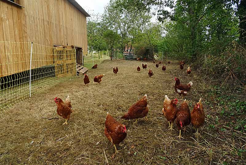 FERME DES 4 VENTS - LE MOULIN DU PLATEAU
