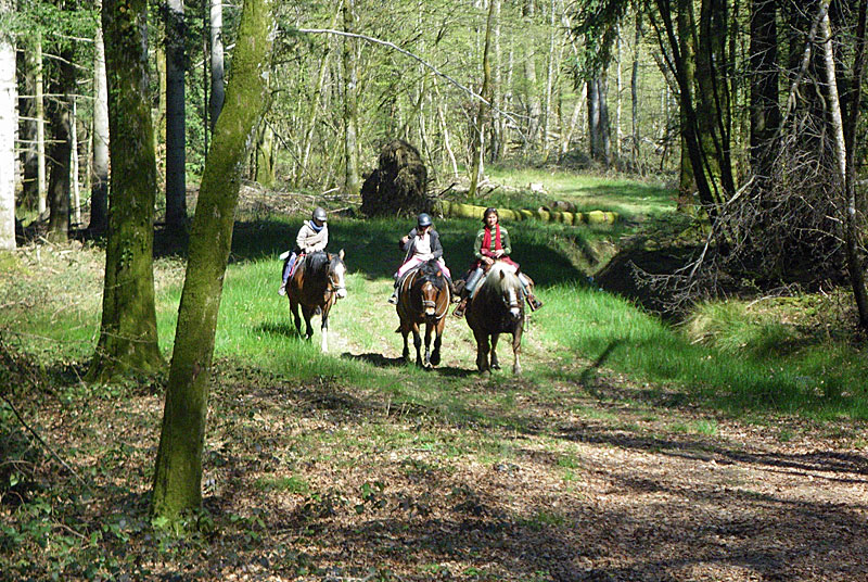 Ferme équestre du Grand Sapin à Chaudenay