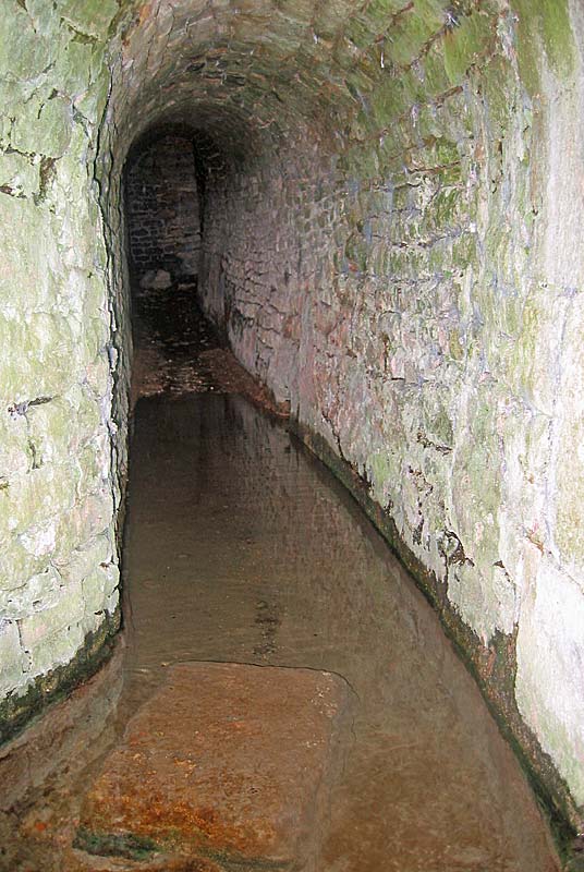 FONTAINE AUX FEES, Langres