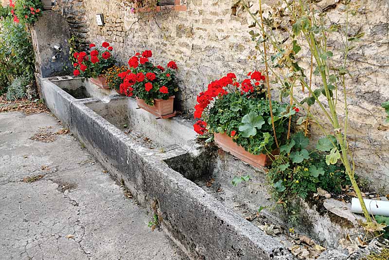 FONTAINE DE LA BROSSE A MUSSEAU