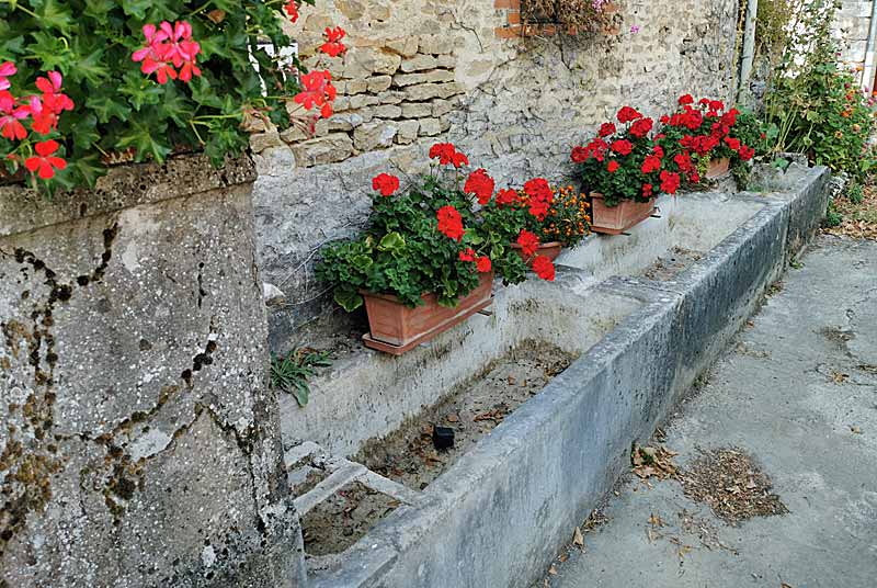 FONTAINE DE LA BROSSE A MUSSEAU, Vals-des-Tilles