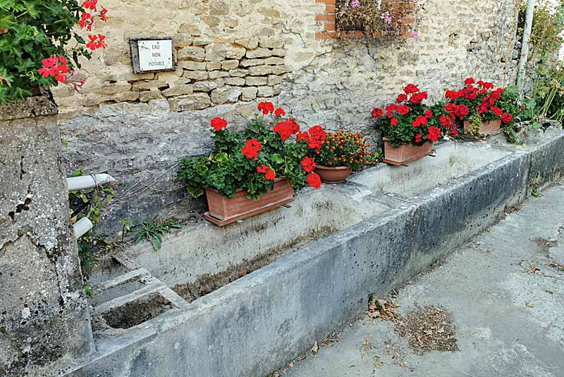 FONTAINE DE LA BROSSE A MUSSEAU, Vals-des-Tilles - photo 3