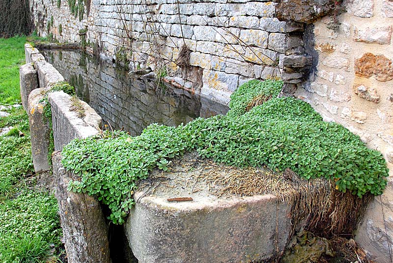 Fontaine des trois Rois, Langres - photo 7