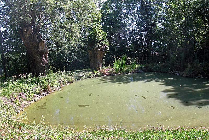 FONTAINE DU MATELOT, Cusey - photo 4