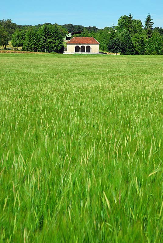 LAVOIR DE LA FONTAINE DU MONT, Perrogney-les-Fontaines - photo 11