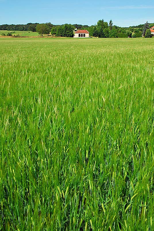 LAVOIR DE LA FONTAINE DU MONT, Perrogney-les-Fontaines - photo 2