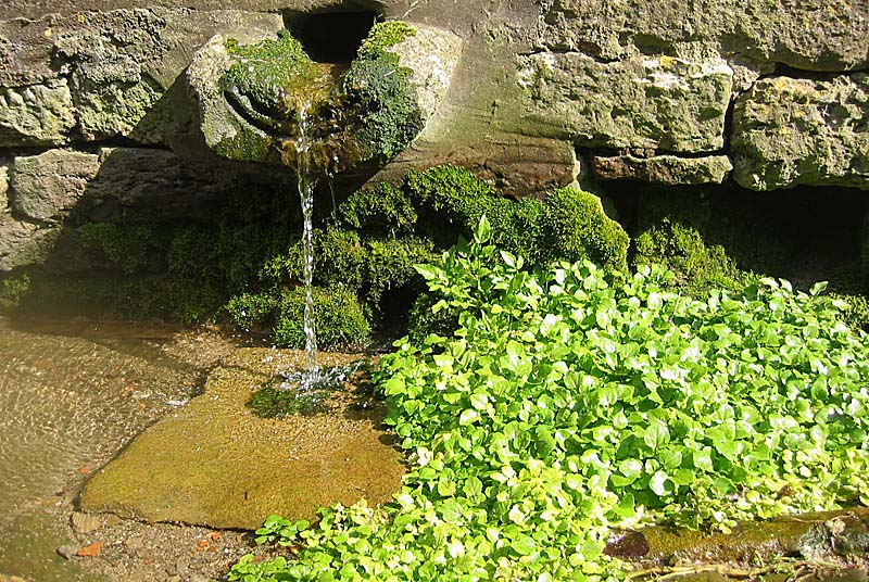 FONTAINE DU PRESIDENT