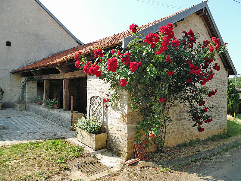 FONTAINE-LAVOIR DE GILLEY, Gilley - photo 2