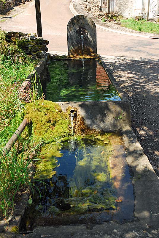 Fontaine de Pisse Doux à Vieux-Moulins, Perrancey-les-Vieux-Moulins - photo 5