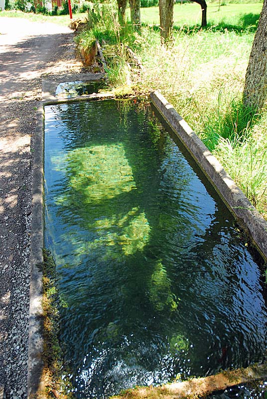 Fontaine de Pisse Doux à Vieux-Moulins, Perrancey-les-Vieux-Moulins - photo 4