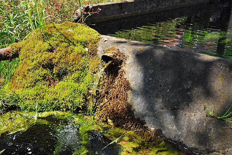 Fontaine de Pisse Doux à Vieux-Moulins, Perrancey-les-Vieux-Moulins - photo 2