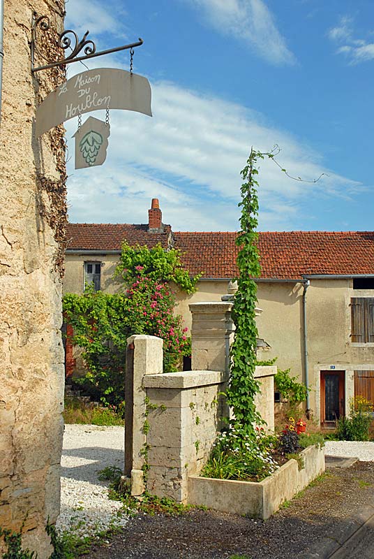 ANCIENNE FONTAINE DE RIVIERE-LES-FOSSES, Rivière-les-Fosses - photo 5