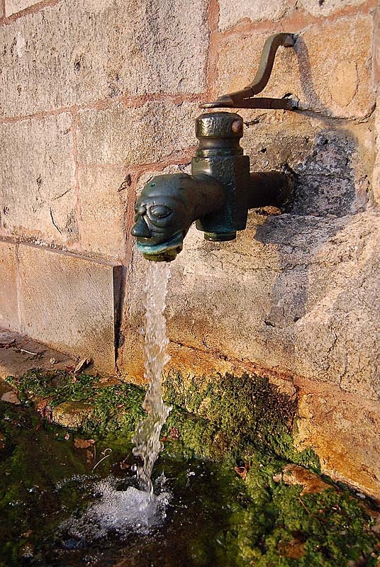 Fontaine Saint-Didier, Langres - photo 6