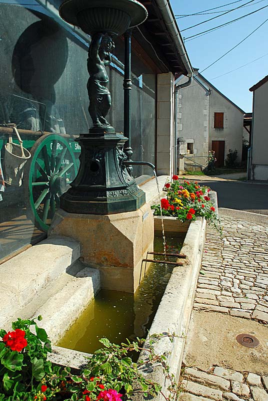 LAVOIR DE LA FONTAINE AU SURREAU, Saint-Loup-sur-Aujon - photo 5