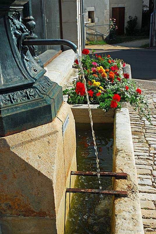 LAVOIR DE LA FONTAINE AU SURREAU, Saint-Loup-sur-Aujon - photo 9