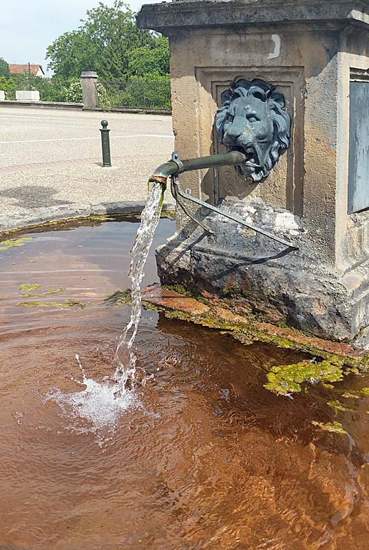 FONTAINE A COLONNE DE VAUX-SOUS-AUBIGNY, Le Montsaugeonnais