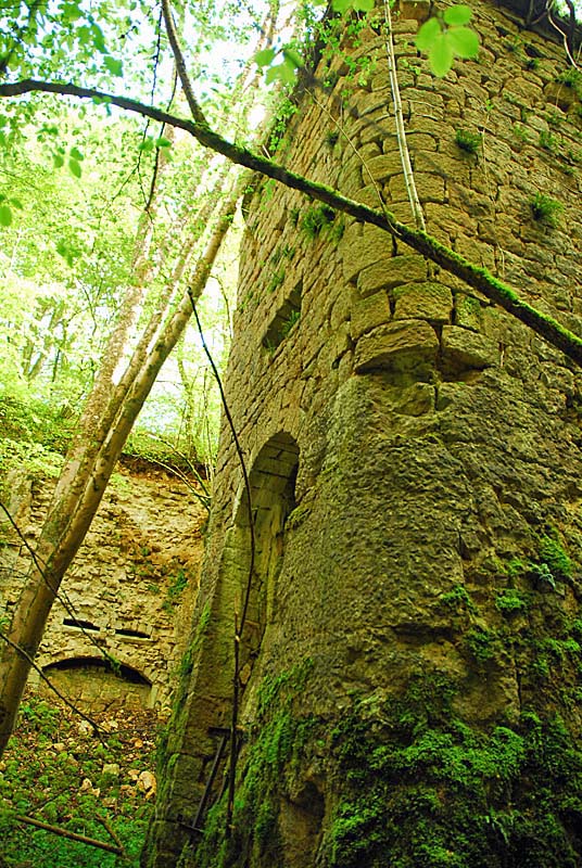 FORT DE DAMPIERRE, Dampierre - photo 31