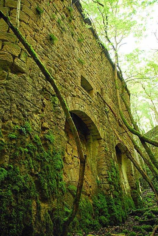 FORT DE DAMPIERRE, Dampierre - photo 48