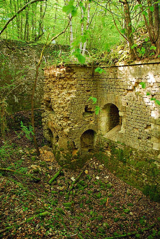 FORT DE DAMPIERRE, Dampierre - photo 35