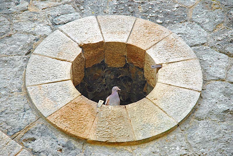 FORT DE MONTLANDON, Haute-Amance - photo 32