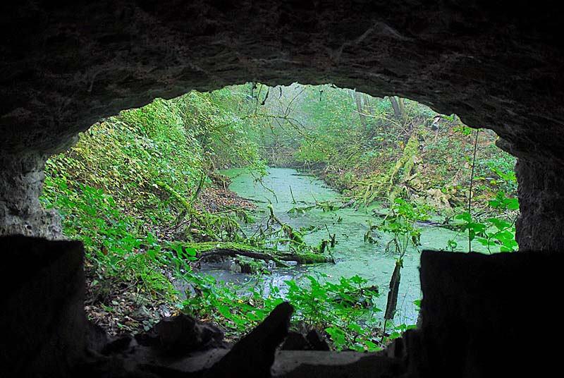 FORT DE MONTLANDON, Haute-Amance - photo 21