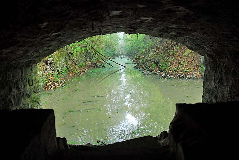 FORT DE MONTLANDON, Haute-Amance - photo 11