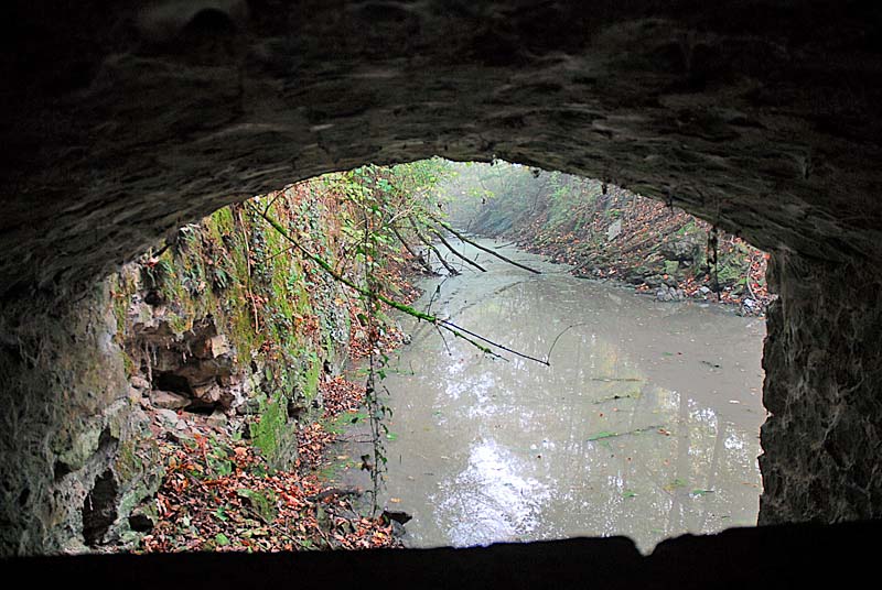FORT DE MONTLANDON, Haute-Amance - photo 5
