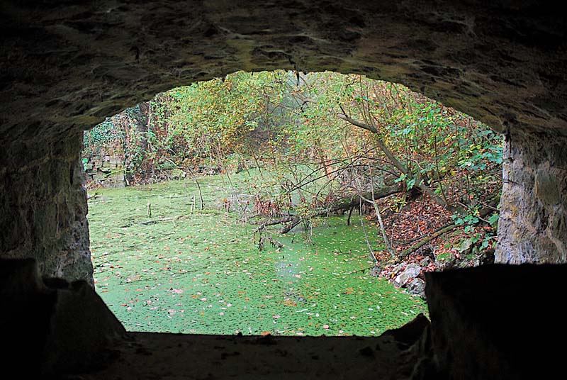 FORT DE MONTLANDON, Haute-Amance - photo 18