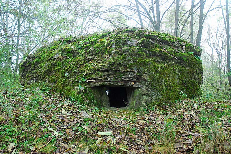 FORT DE MONTLANDON, Haute-Amance