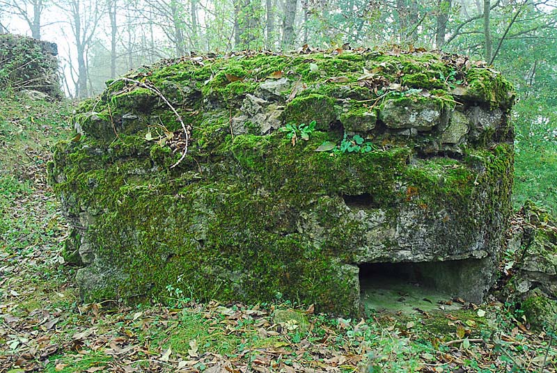 FORT DE MONTLANDON, Haute-Amance - photo 3