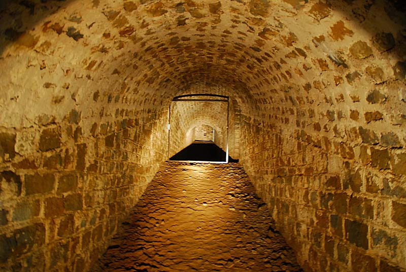 FORT DE PLESNOY, Plesnoy - photo 45