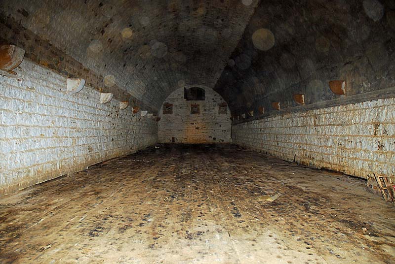 FORT DE PLESNOY, Plesnoy - photo 14
