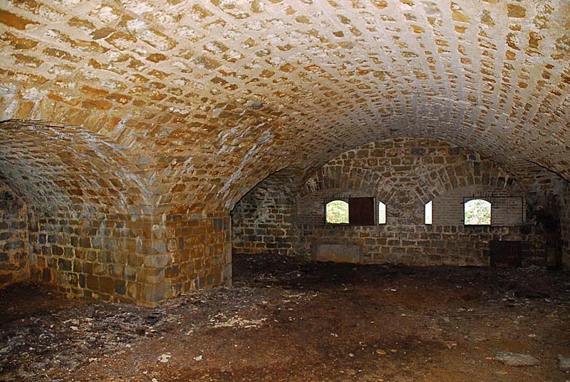 FORT DE PLESNOY, Plesnoy - photo 36