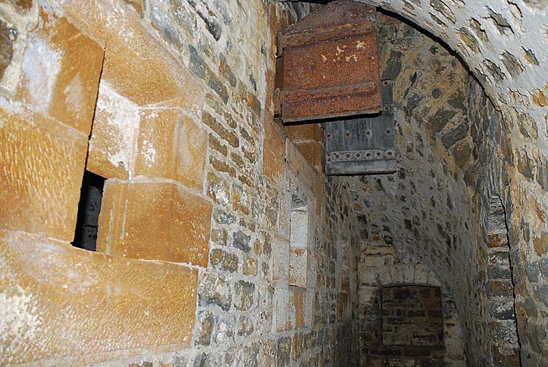 FORT DE PLESNOY, Plesnoy - photo 41