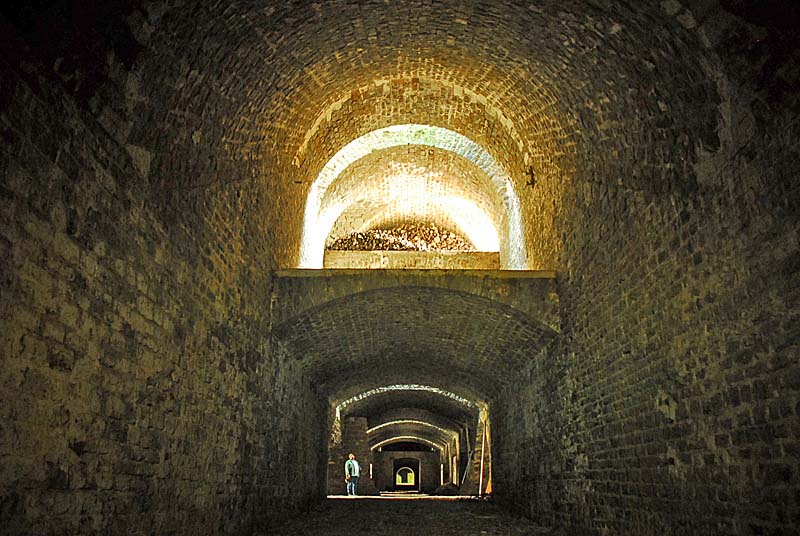 FORT DE PLESNOY, Plesnoy - photo 55