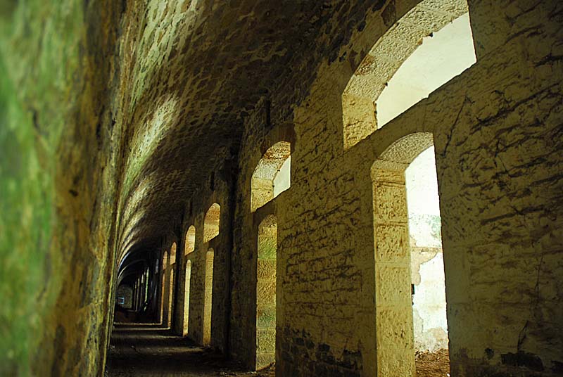 FORT DE PLESNOY, Plesnoy - photo 17