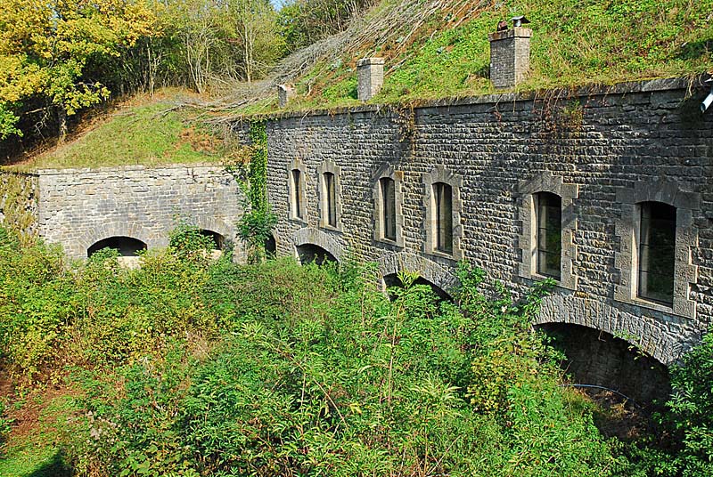 FORT DE PLESNOY, Plesnoy - photo 26