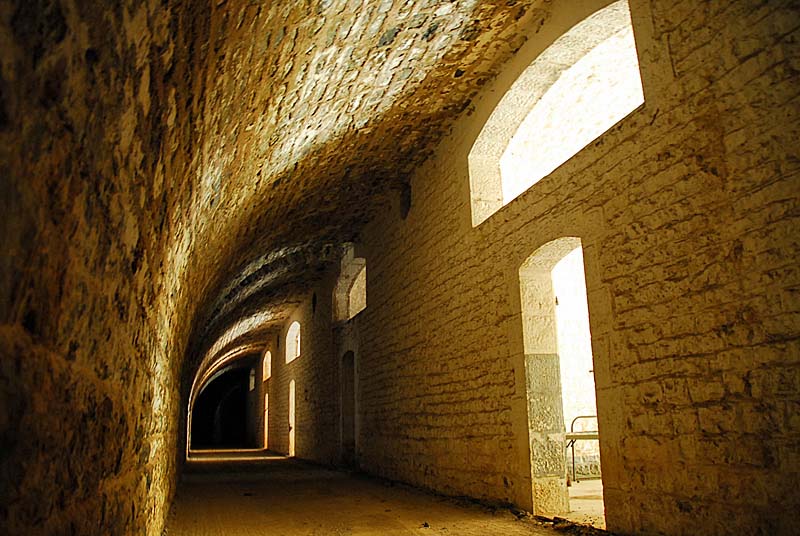 FORT DE PLESNOY, Plesnoy - photo 8