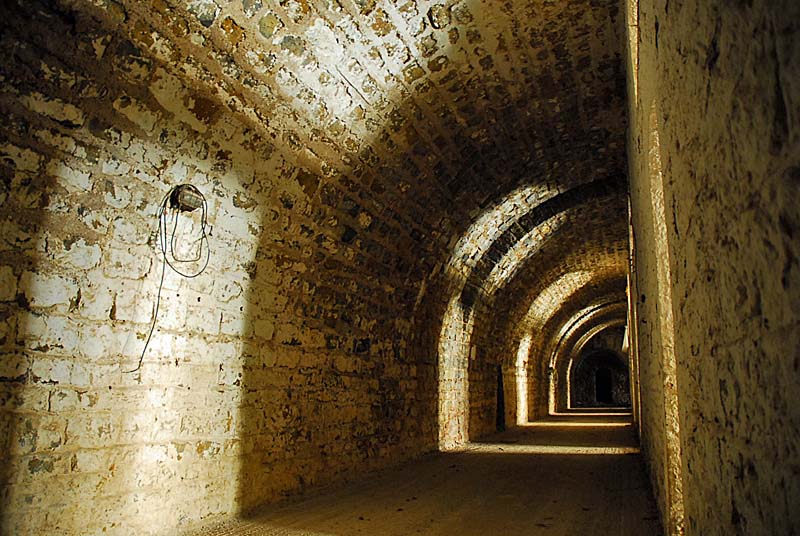 FORT DE PLESNOY, Plesnoy - photo 6