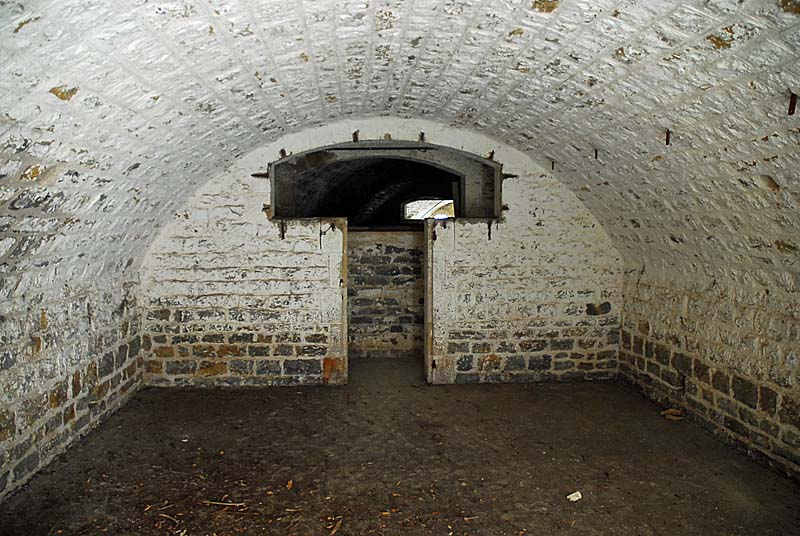 FORT DE PLESNOY, Plesnoy - photo 42