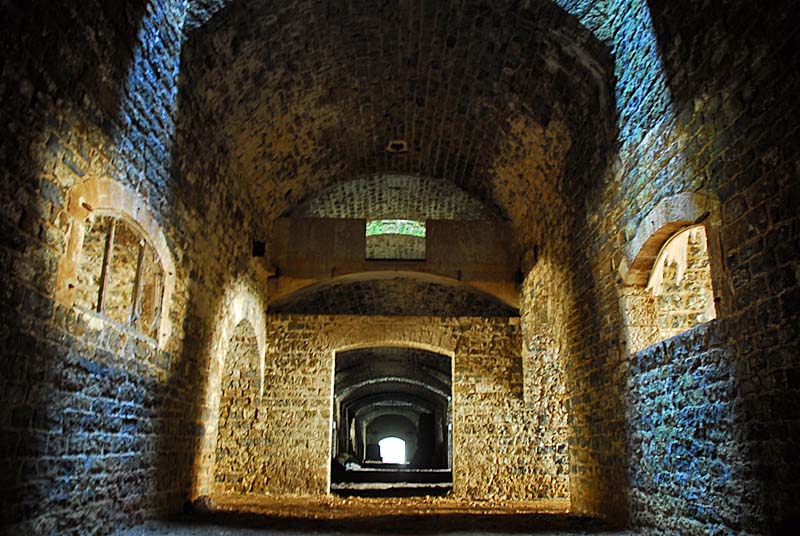 FORT DE PLESNOY, Plesnoy - photo 2