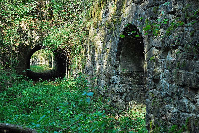 FORT DE PLESNOY, Plesnoy - photo 39